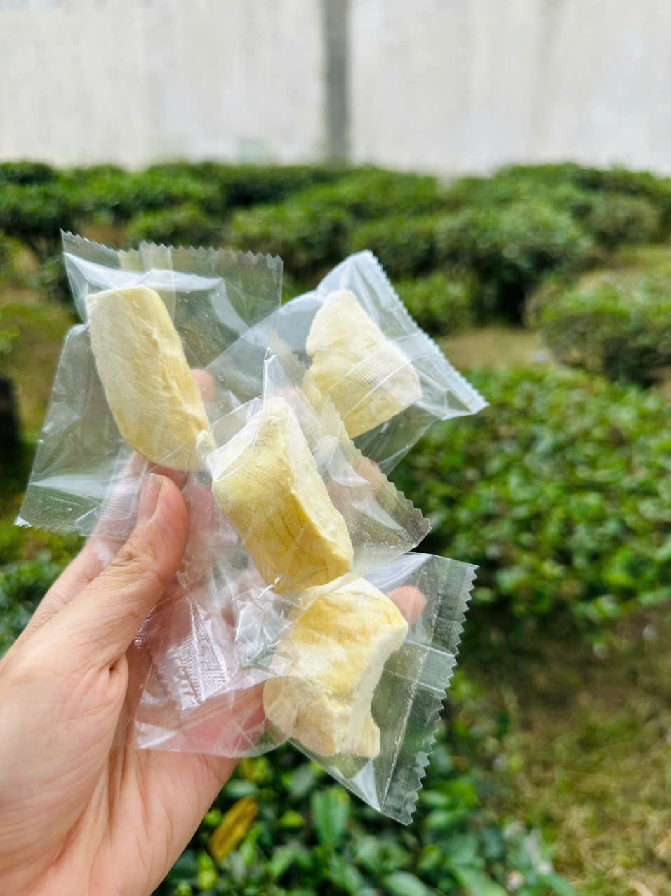Sầu riêng sấy gói lẻ tiện lợi