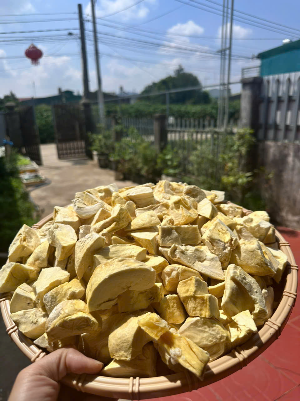 Sầu riêng sấy thăng hoa